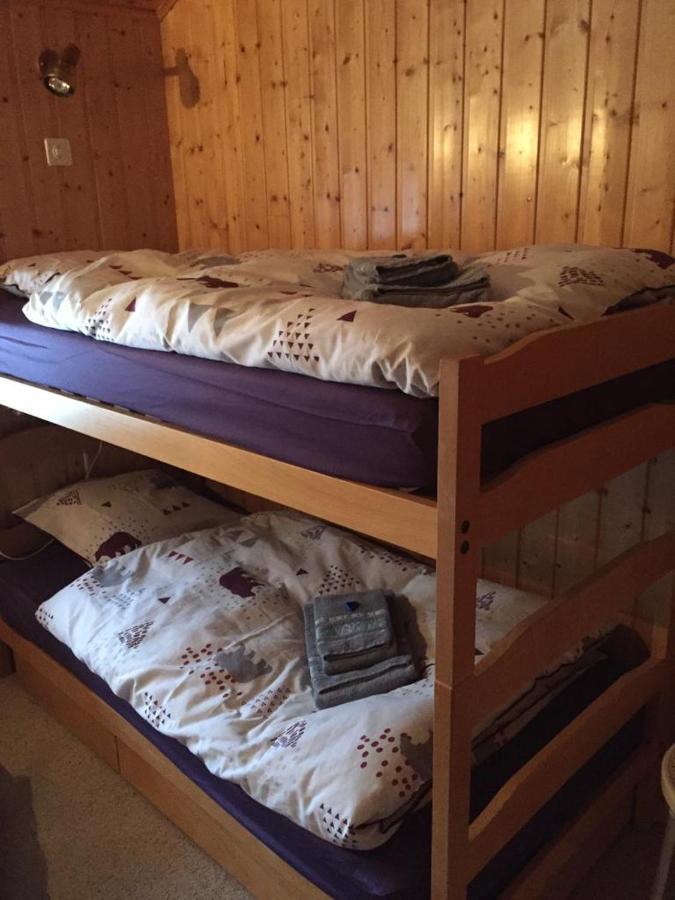 Chalet Michel Bruson Εξωτερικό φωτογραφία